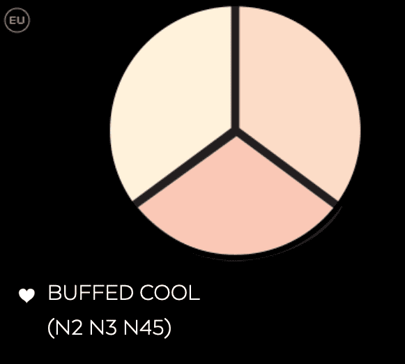 Concealer Trio - BUFFED COOL (N2 N3 N45).