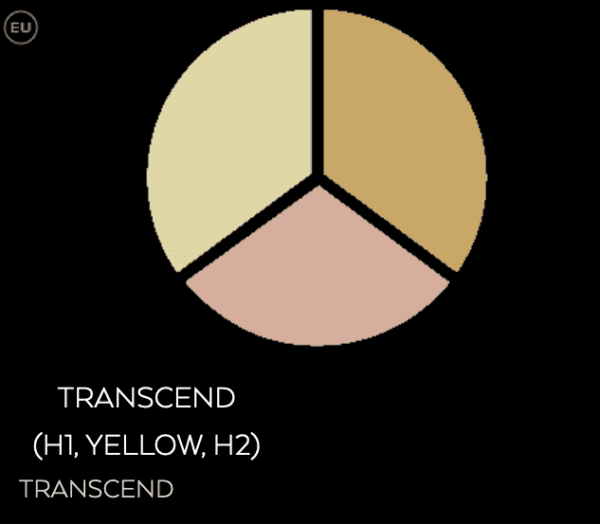 Concealer Trio - TRANSCEND (H1, YELLOW, H2).