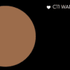 Loose Powder - C11 WARM YELLOW